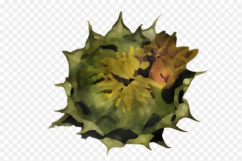 Ҷ �� ����ѧ-������