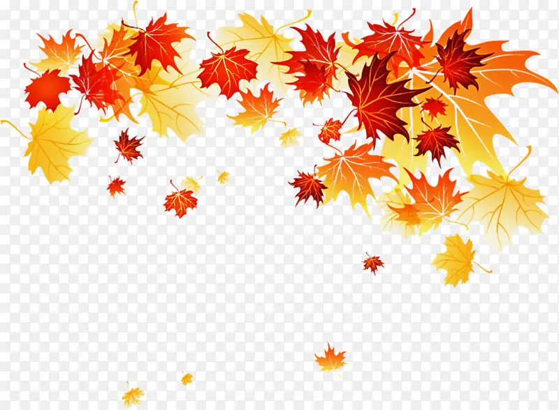 Ҷ�� ��֦ ��Ҷ-������