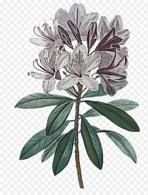 ˮ�ʻ� ������ ����-������