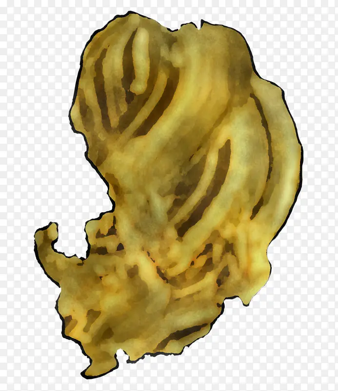 ����ѧ ��ѧ-������