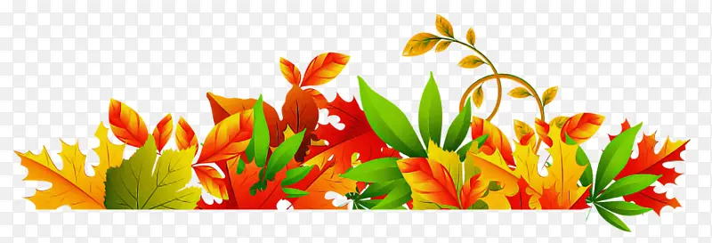 ��ɫ���� ��ͨ ˮ�ʻ�-������