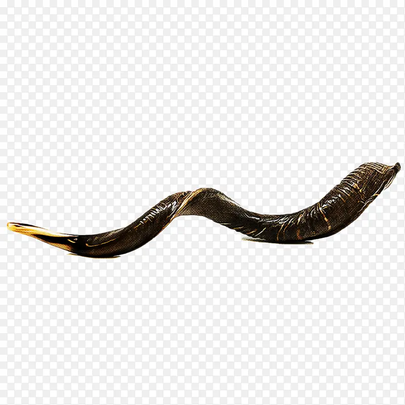 ���ж��� ����ѧ ��ѧ-������