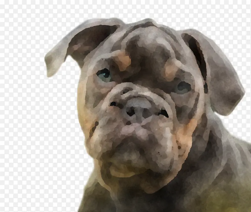 ɽ�ȶ�ţȮ ��Ӣ�ﶷţȮ ������ţȮ-������