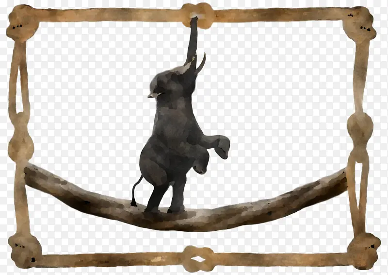 ��ѧ �̱� ��ͨ-������