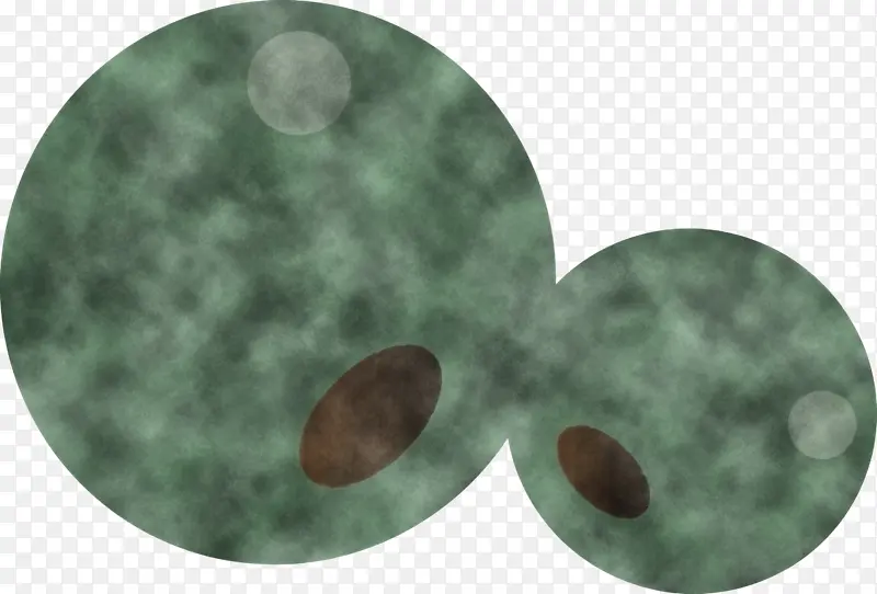 Ҷ Բ ��ѧ-������