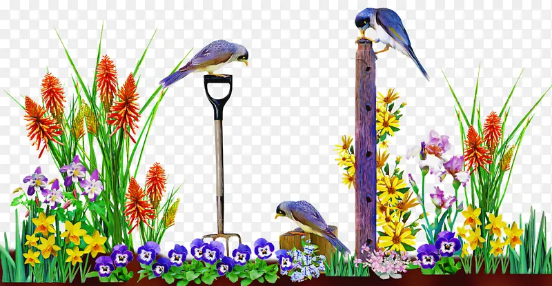 ���� ������� ��ͨ-������