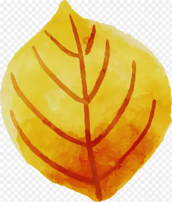 ˮ�ʻ����� ˮ�ʻ�Ҷ�� ˮ�ʻ�-������