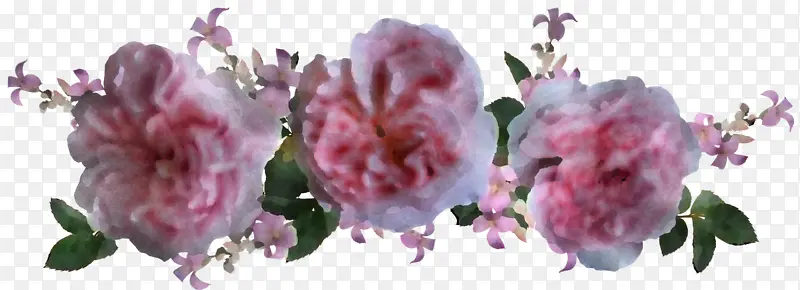 ������� ���� ˮ�ʻ�-������