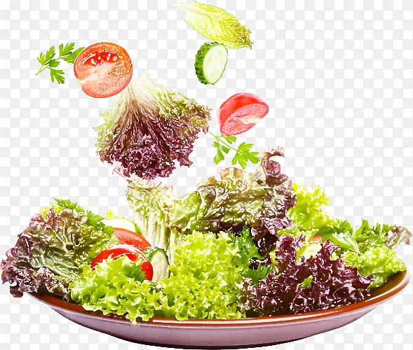 �߲� �߲˽� �߲�ɳ��-������