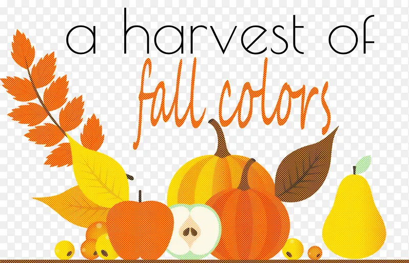 �ж��ڿ���-������