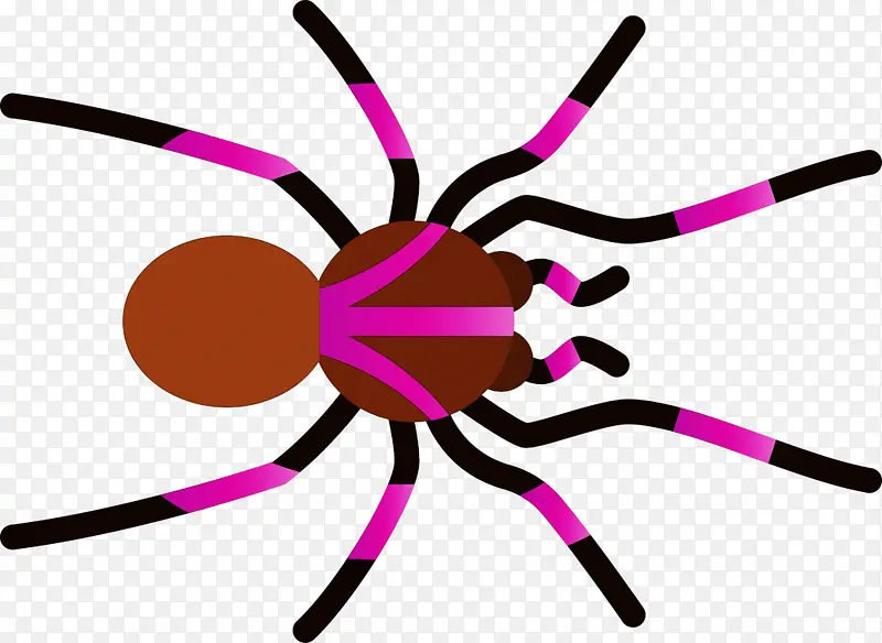 ��ͨ֩�� �� ����-������