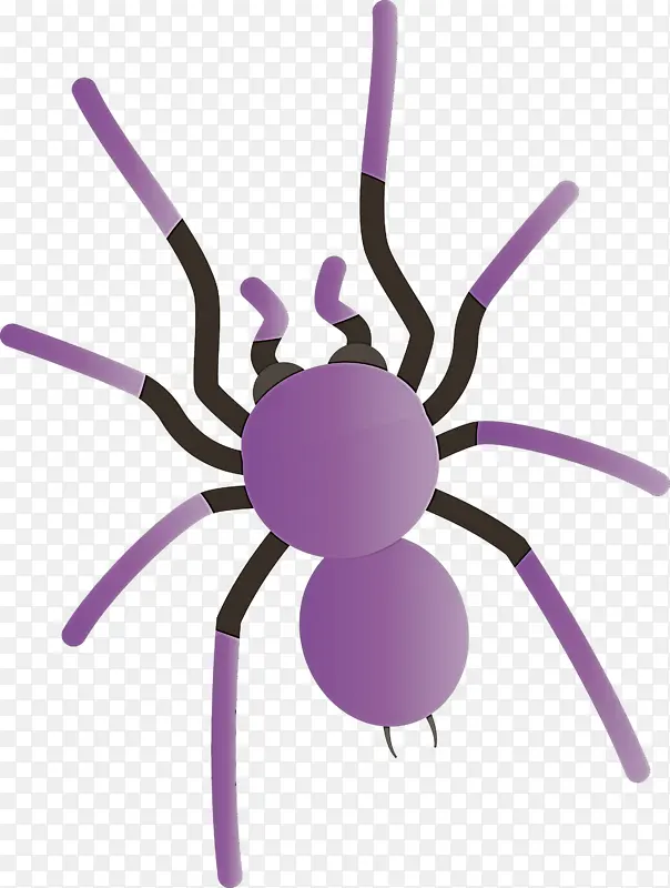 ��ͨ֩�� �������� ����-������