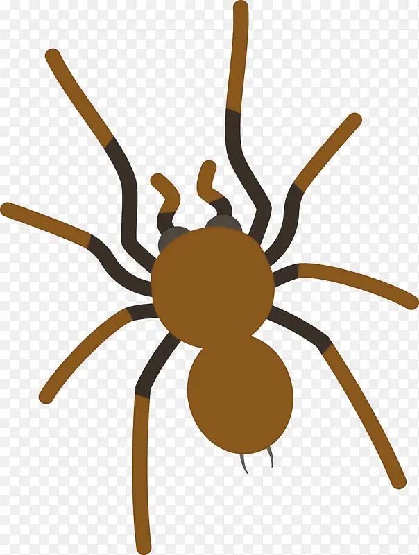 ��ͨ֩�� ���� ������-������