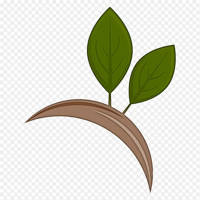 Ҷ�� ֲ�ﾥ ��-������