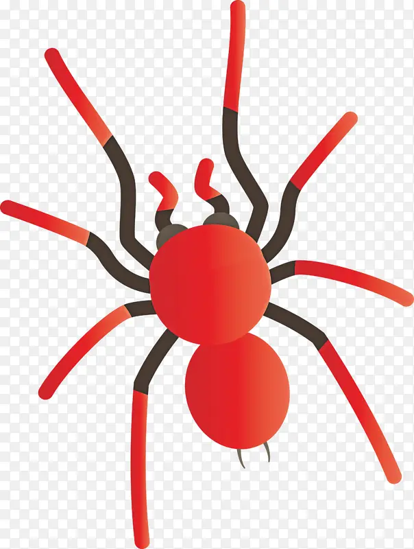 ��ͨ֩�� ���� ��������-������