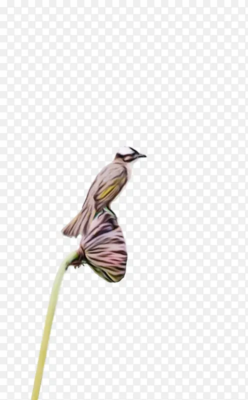 ˮ�ʻ� ���� ʪīˮ-������