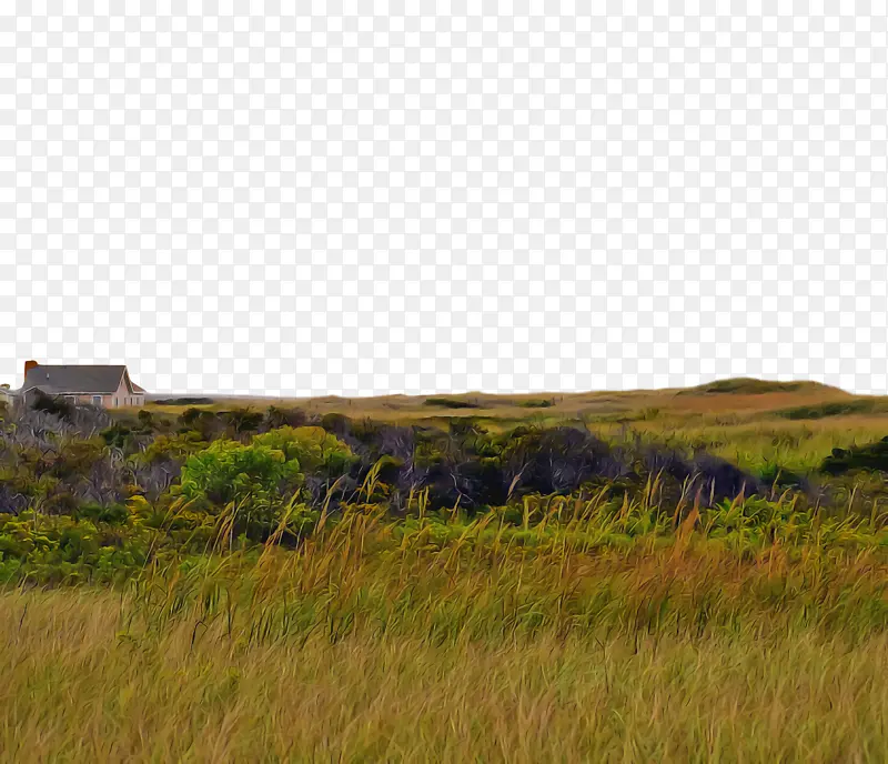 �� ��ԭ ��Ȼ������-������