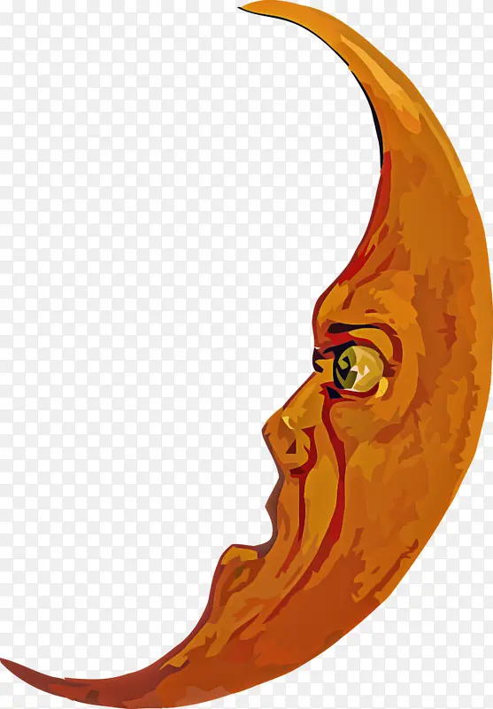 ��ʥ�ڿ��ֿ�ͨ�����ѧ����-������