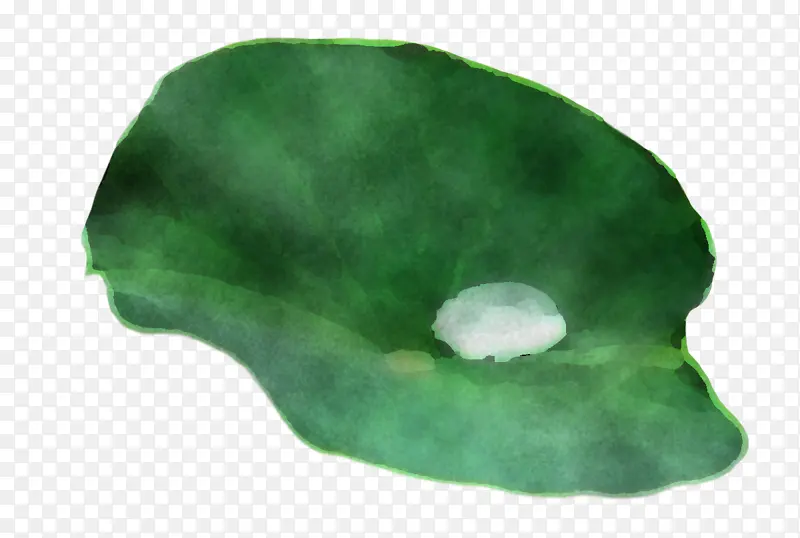 Ҷ�� ֲ�� ֲ��ṹ-������