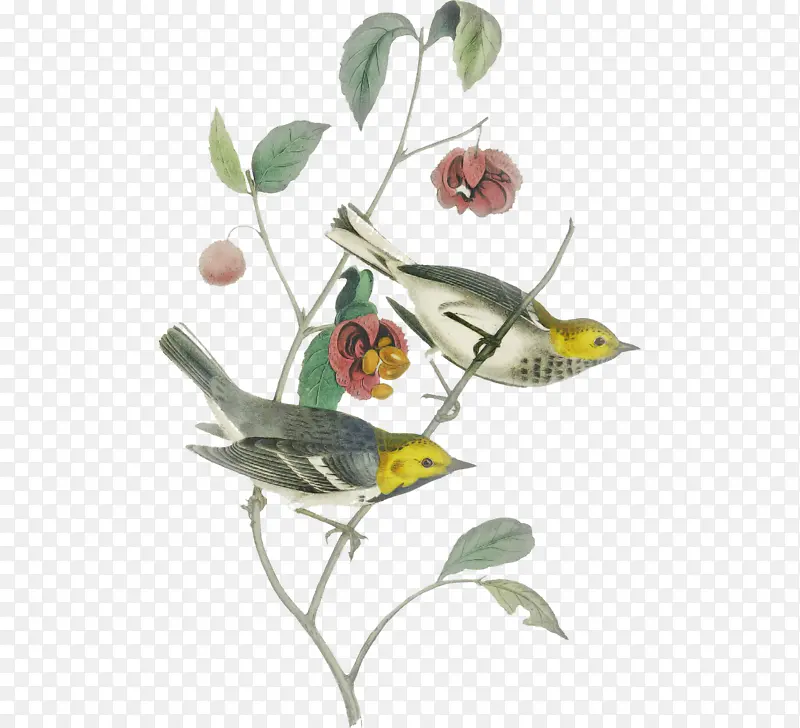 ֲ�ﾥ ���� ��-������