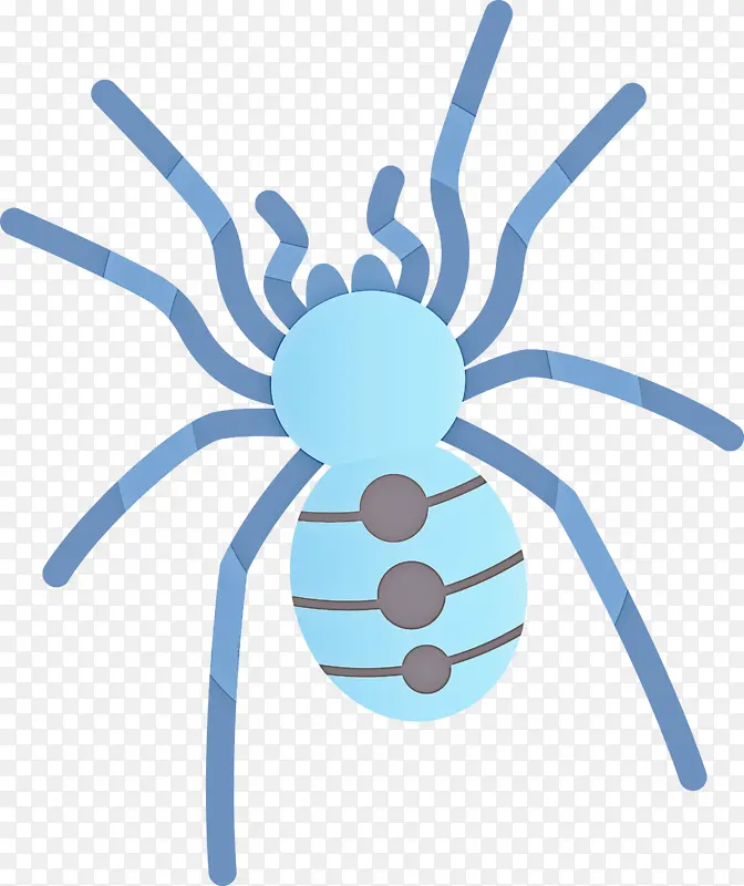 ��ͨ֩�� ���� �滭-������