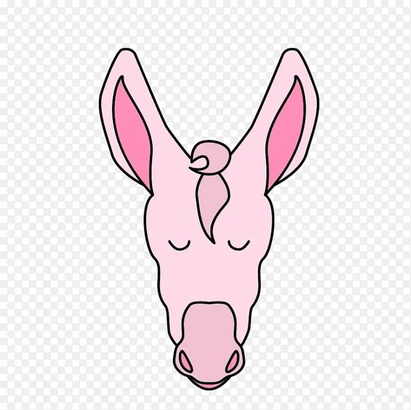 �ƿ������� ¿�����ũ�� ����-������