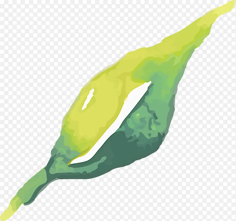 ˮ�ʻ����� ˮ�ʻ�����Ҷ�� ˮ�ʻ�Ҷ��-������