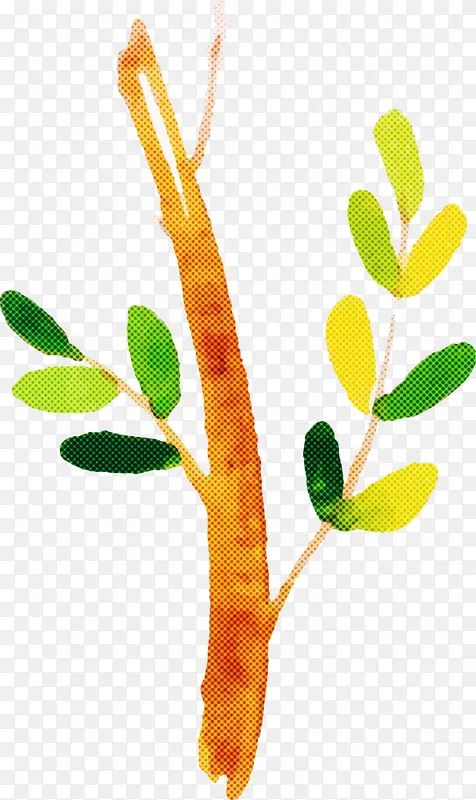 ˮ�ʻ����� ˮ�ʻ���Ҷ ˮ�ʻ�Ҷ��-������