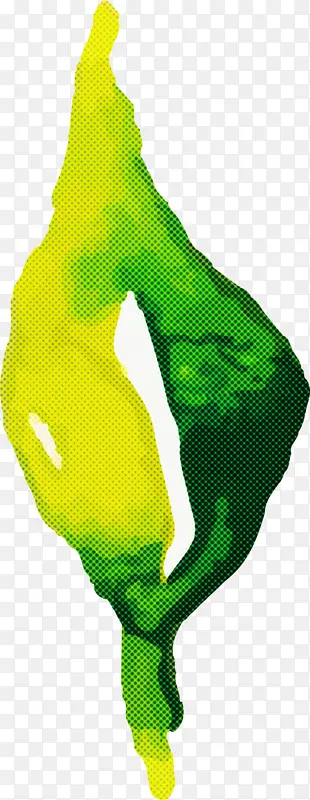 ˮ�ʻ����� ˮ�ʻ�����Ҷ�� ˮ�ʻ�Ҷ��-������