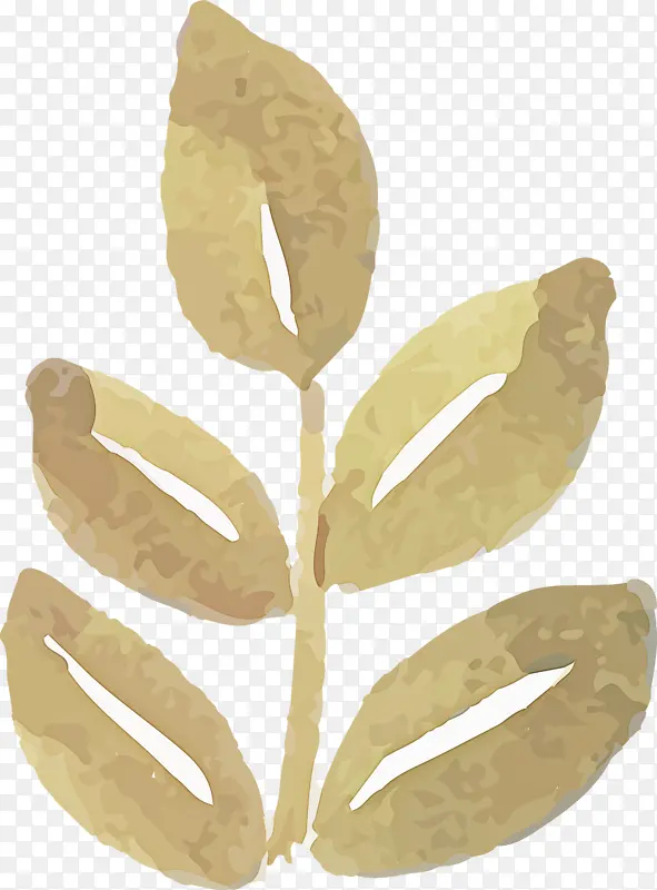 ˮ�ʻ����� ˮ�ʻ�����Ҷ�� ˮ�ʻ�Ҷ��-������