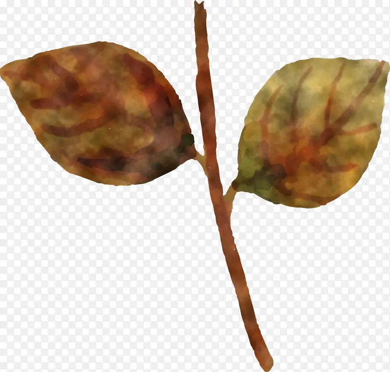 ˮ�ʻ����� ˮ�ʻ�����Ҷ�� ˮ�ʻ�Ҷ��-������