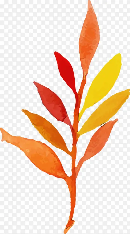 ˮ�ʻ����� ˮ�ʻ�����Ҷ�� ˮ�ʻ�Ҷ��-������