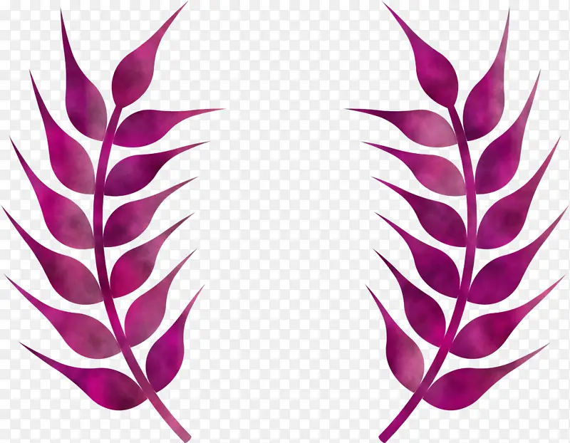 С���� ˮ�ʻ� ��������-������