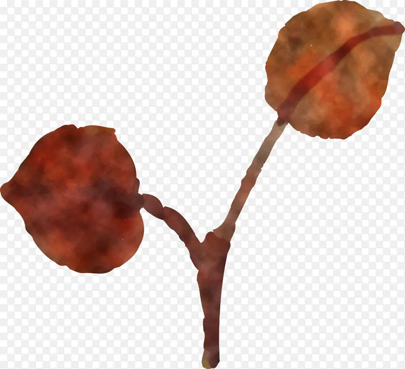 ˮ�ʻ����� ˮ�ʻ�Ҷ�� ��ɫҶ��-������