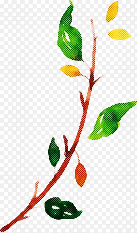 ˮ�ʻ����� ˮ�ʻ�����Ҷ�� ˮ�ʻ�Ҷ��-������