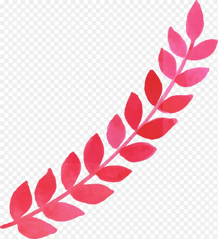 ˮ�ʻ����� ˮ�ʻ�����Ҷ�� ˮ�ʻ�Ҷ��-������