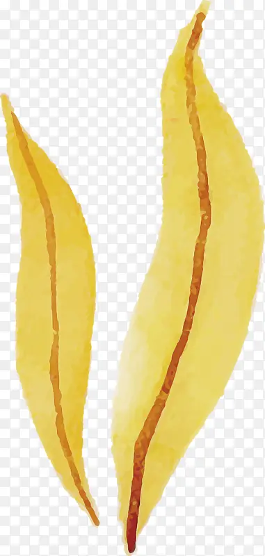 ˮ�ʻ����� ˮ�ʻ�����Ҷ�� ˮ�ʻ�Ҷ��-������