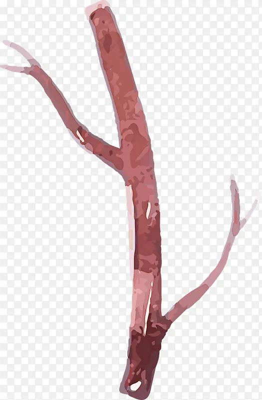 ˮ�ʻ����� ˮ�ʻ�����Ҷ�� ˮ�ʻ�Ҷ��-������