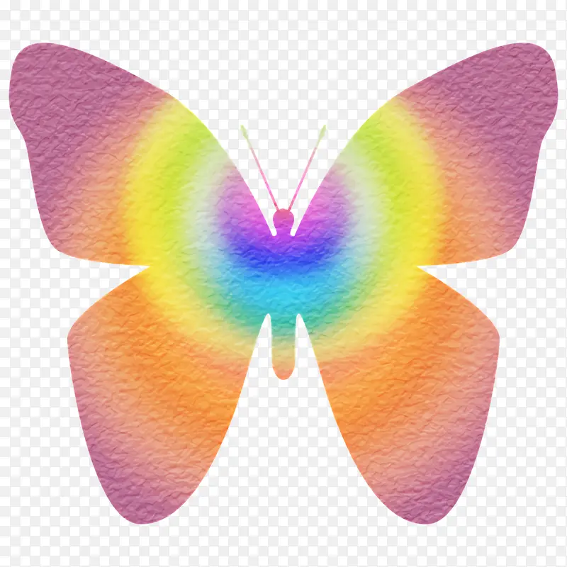 ���� ���� ���-������