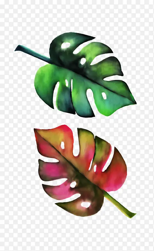 �߲� ˮ��-������