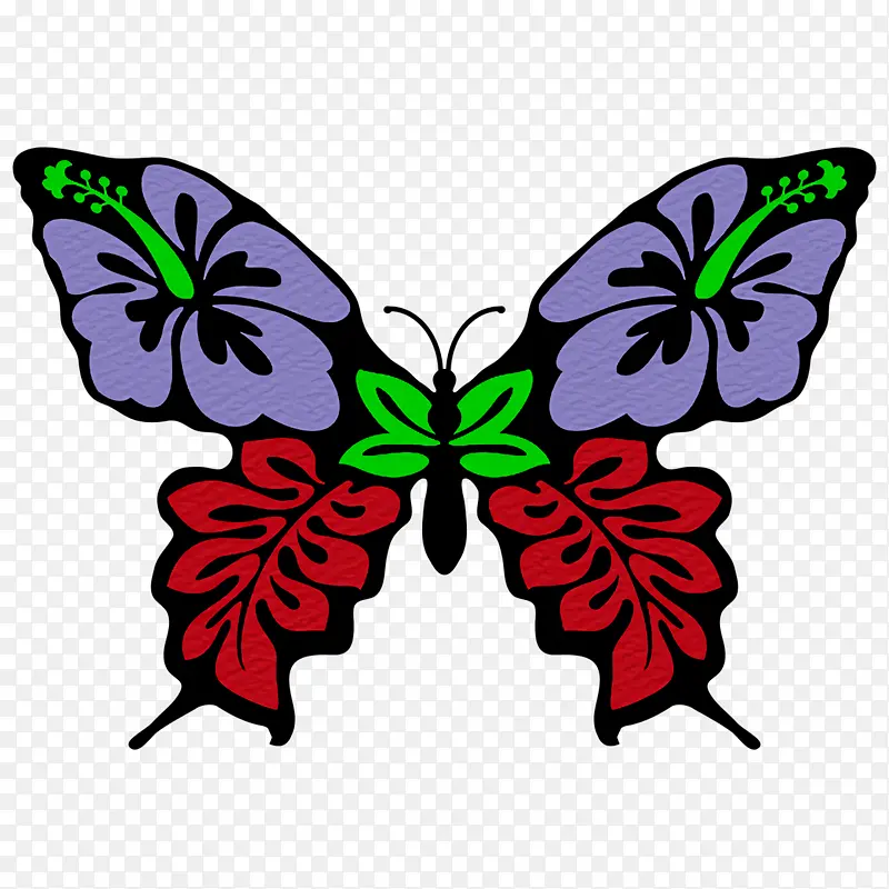 ���� ���� ��β��-������