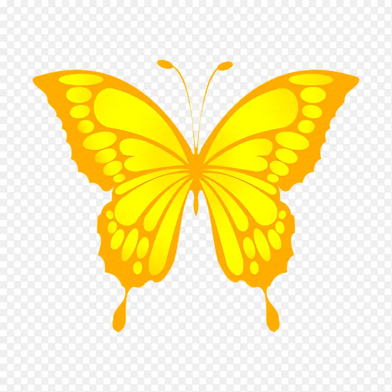 ���� ���� ī����˹����̬-������