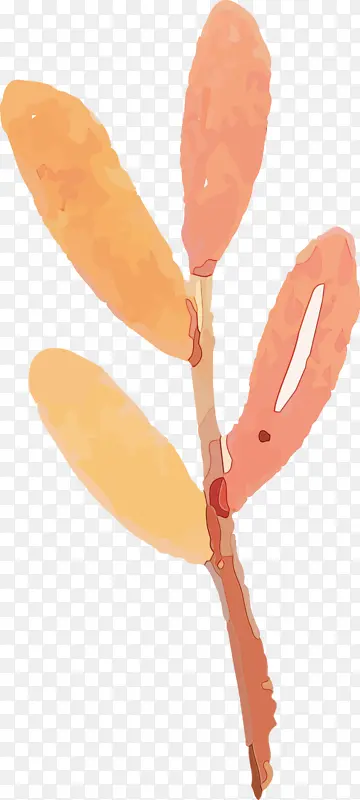 ˮ�ʻ����� ˮ�ʻ���Ҷ ˮ�ʻ�Ҷ��-������