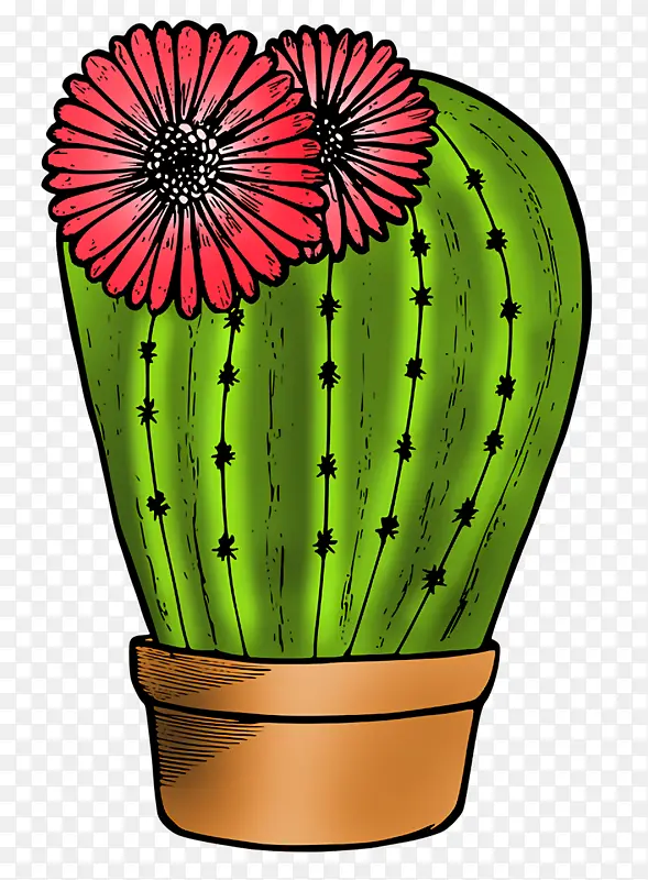 �� ���� ֲ��-������