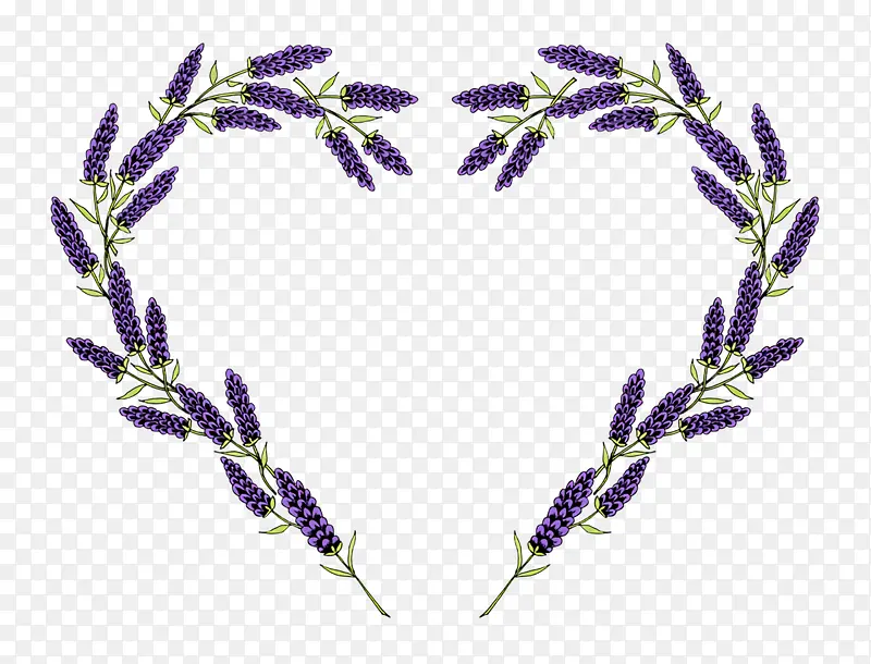 ���� ޹�²�-������