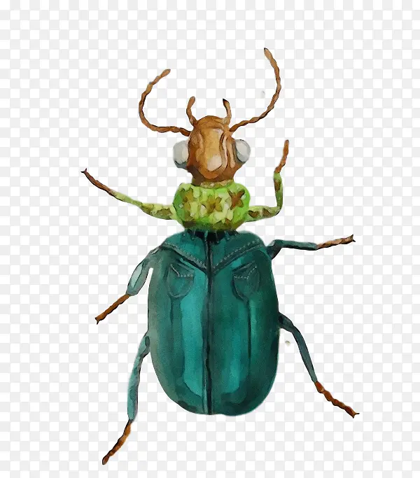 ˮ�ʻ� ���� ʪīˮ-������