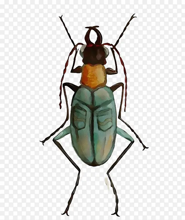 ˮ�ʻ� ���� ʪīˮ-������