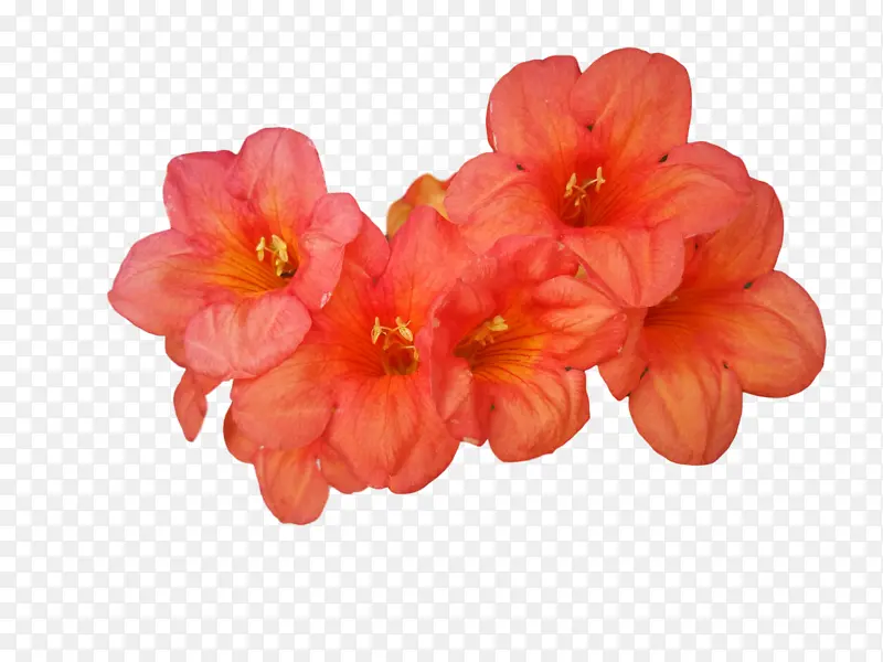 �� ���� �ݱ�ֲ��-������