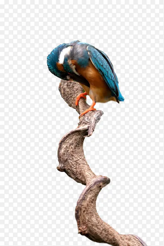 ���� � ��-������