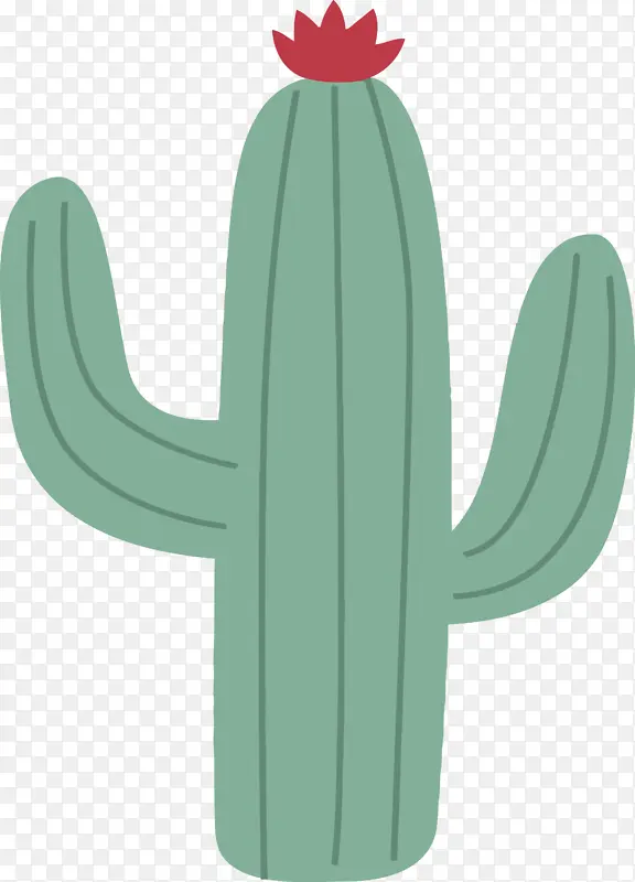 ֲ�� ʯ���� ��ͨ-������